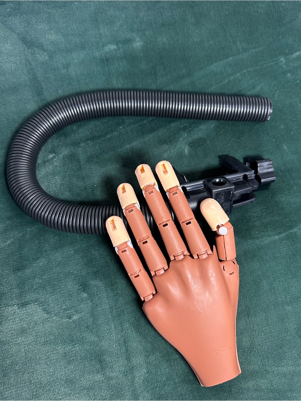 Amazon Practice Nail Hand with Flesh and Beige Tips